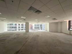 PLUS (D1), Office #560762111